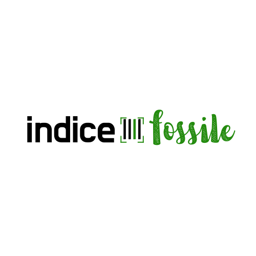 Indice Fossile