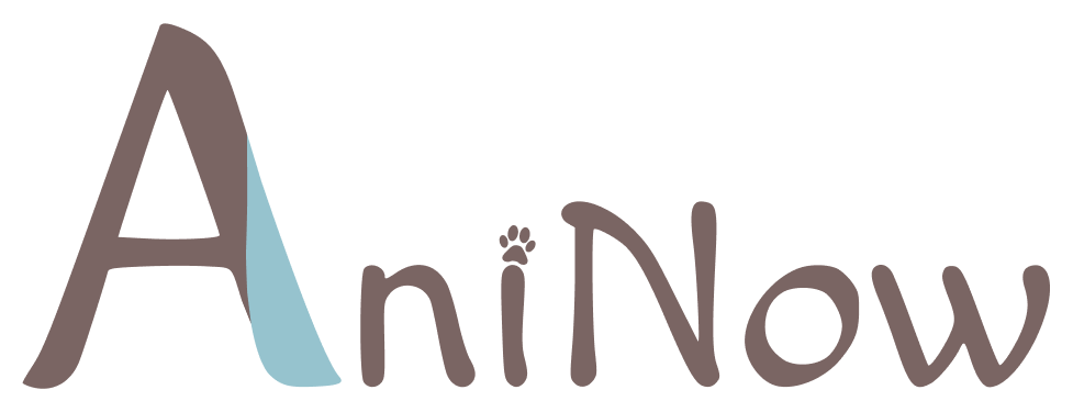 AniNow