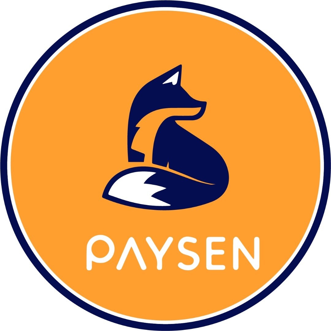 PAYSEN GROUP