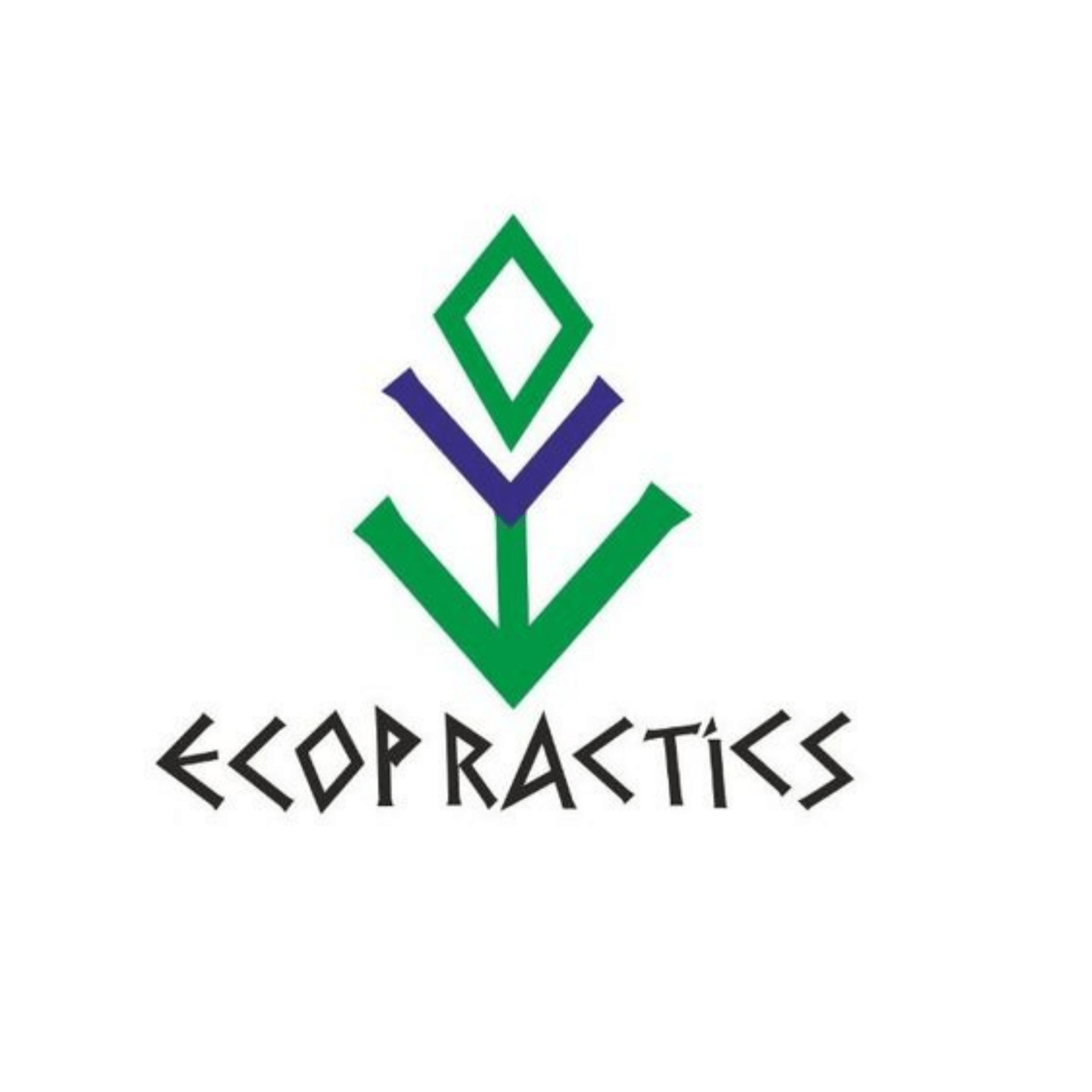 Ecopractics
