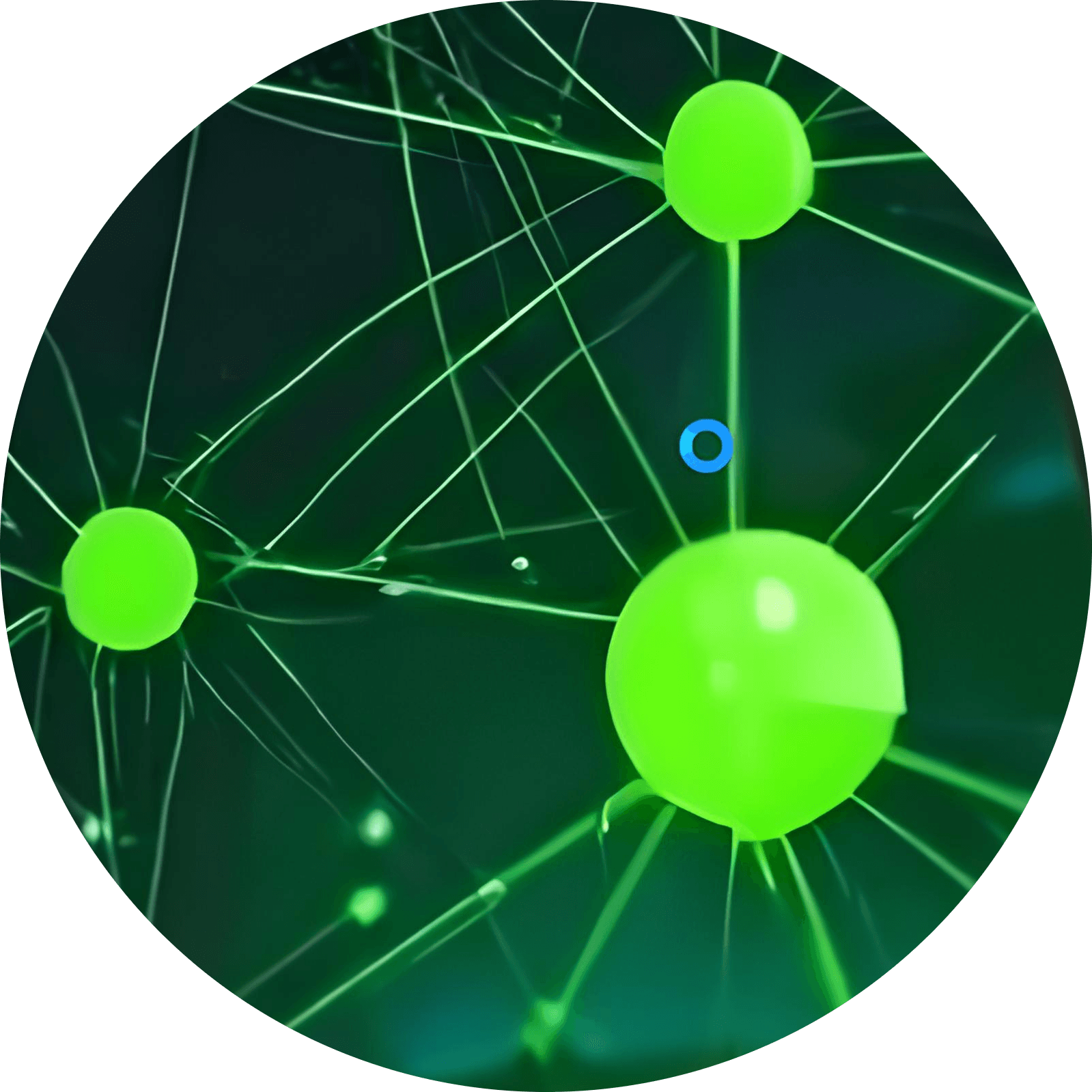 THE SUSTAINABLE GRID