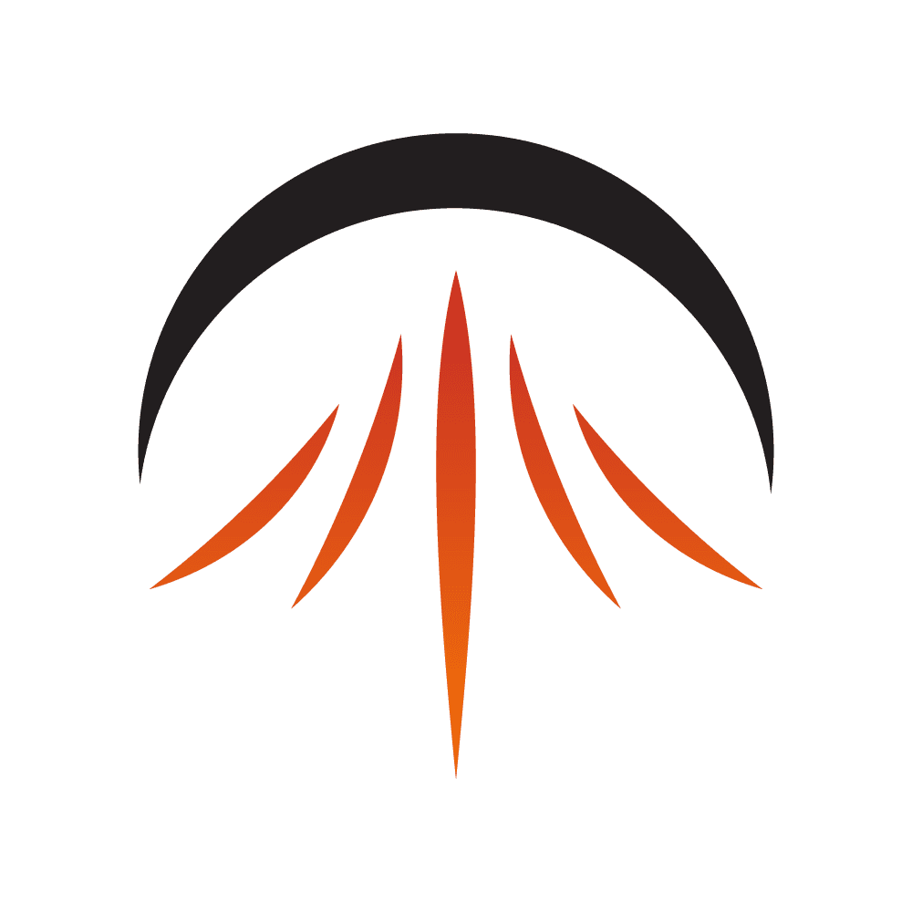 PHINIX Orbital Systems